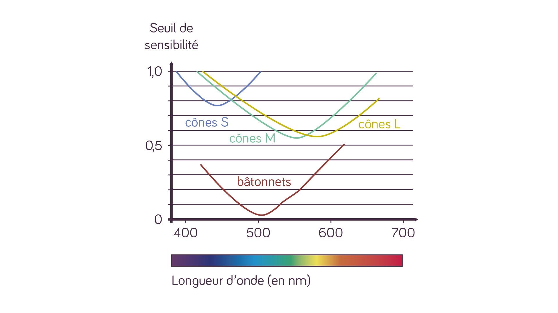 Graphique du seuil de sensibilité en fonction des longueurs d’onde