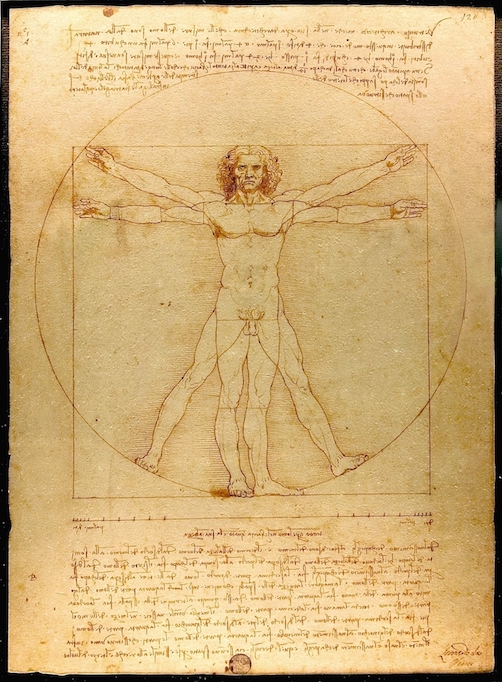 L’Homme de Vitruve Léonard de Vinci