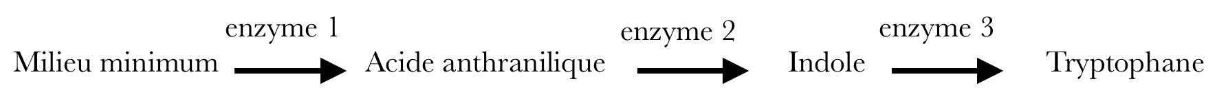 Alt texte