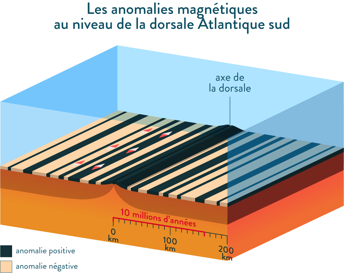 Les anomalies magnétiques dorsale atlantique sud