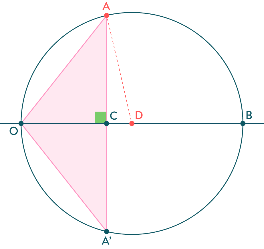 Applications de la dérivation exercice mathématiques première s
