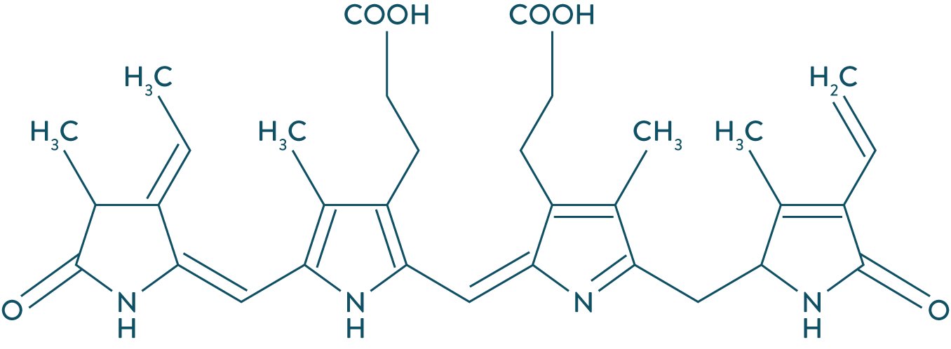 Représentation semi-développée phycocyanobiline-physique-chimie-première-s-schoolmouv