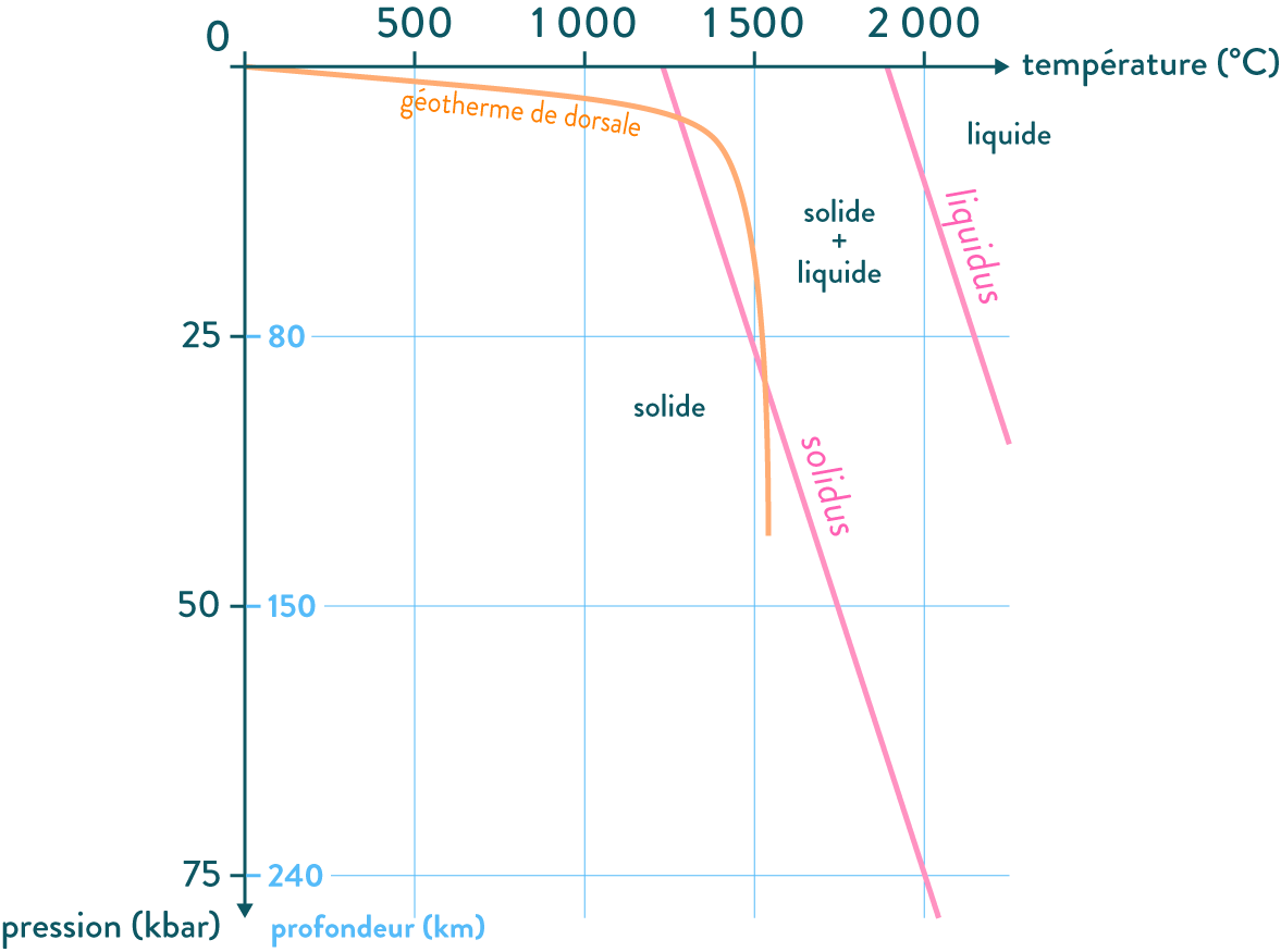 Diagramme de fusion d’une péridotite-svt-première-s-schoolmouv