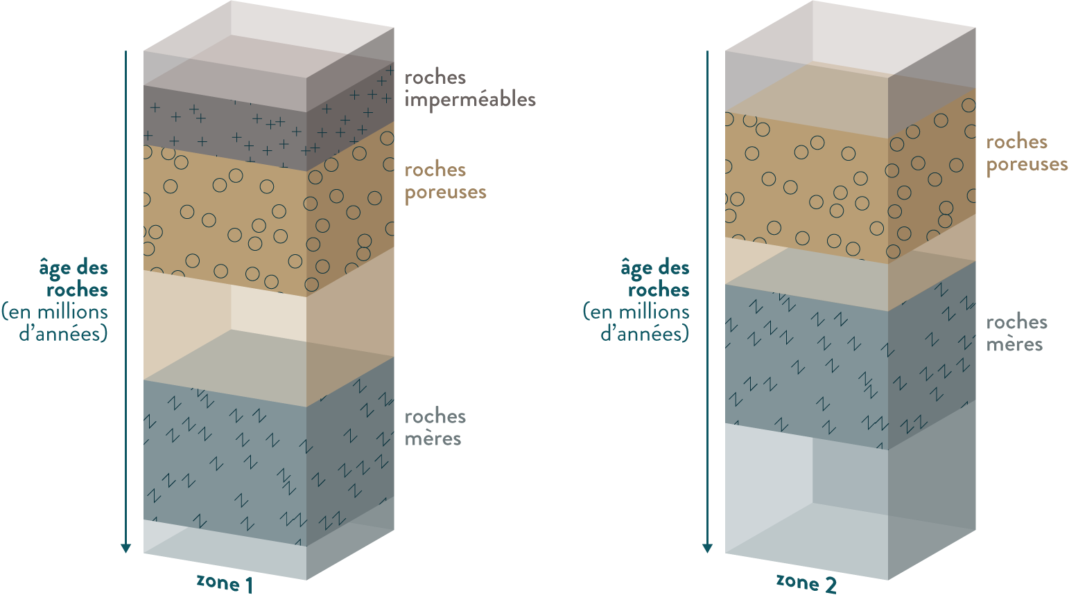 Colonnes stratigraphiques de deux zones-svt-première-s-schoolmouv