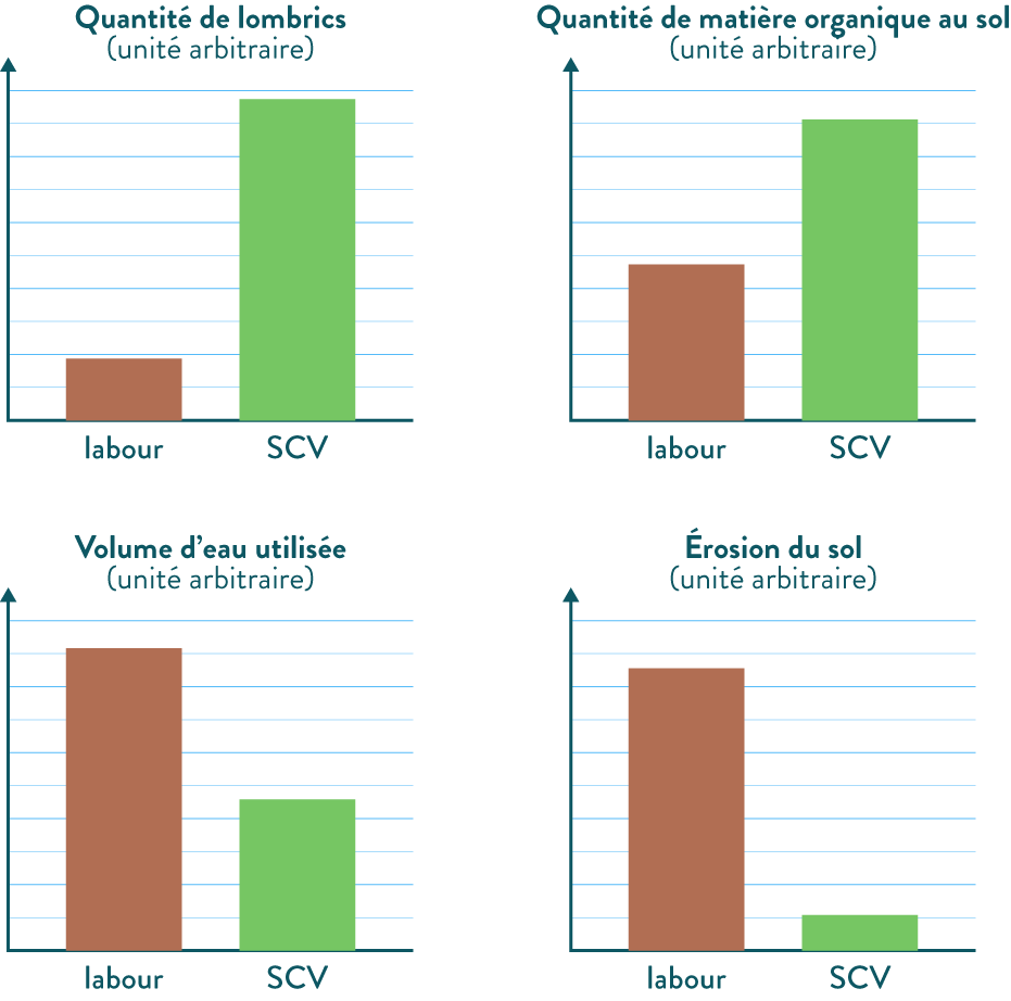 Comparaison de plusieurs facteurs entre des cultures labourées et des cultures sous couvert végétal après plusieurs années d’essais-svt-première-s