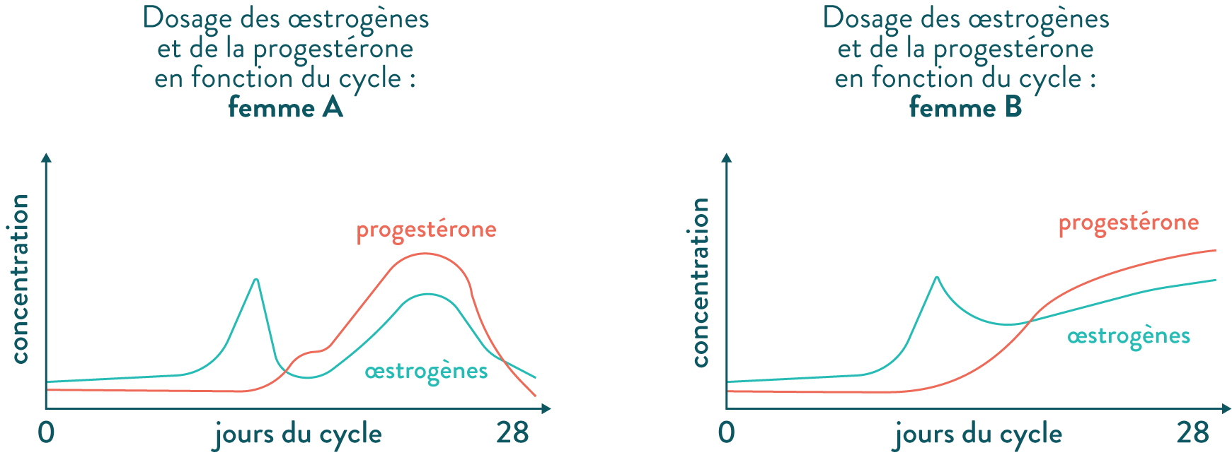 Dosage des oestrogènes et de la progestérone en fonction du cycle-svt-première-s