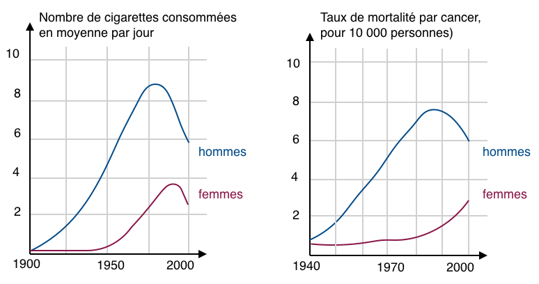Alt texte