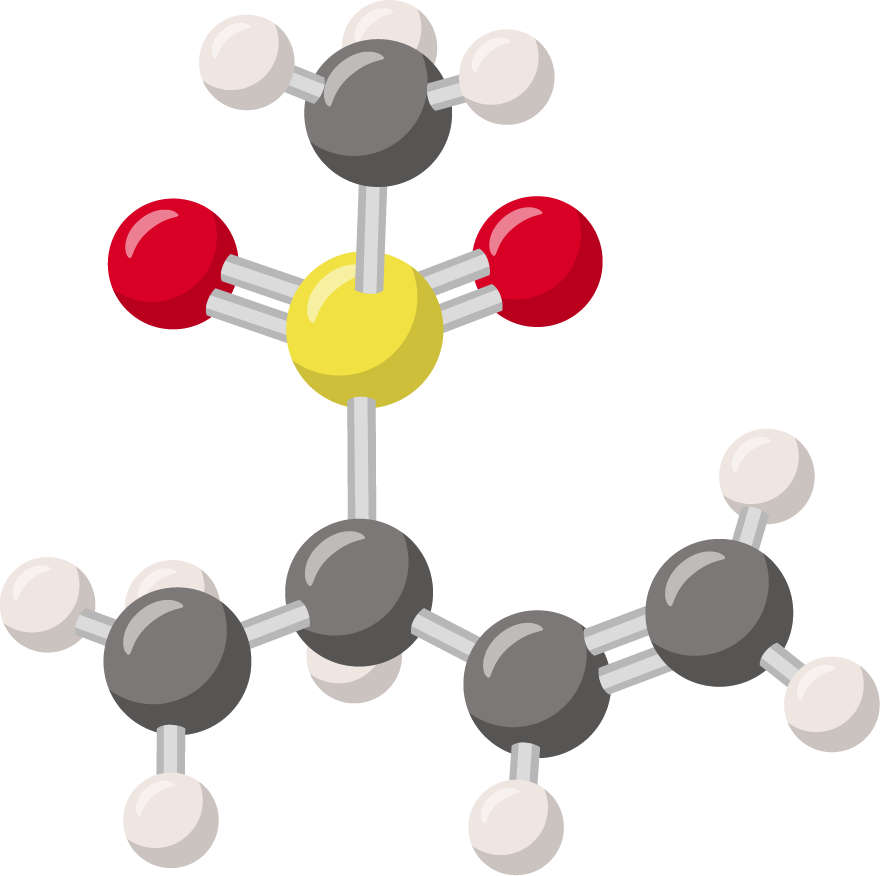 Représentation molécule 3D-physique-chimie-seconde