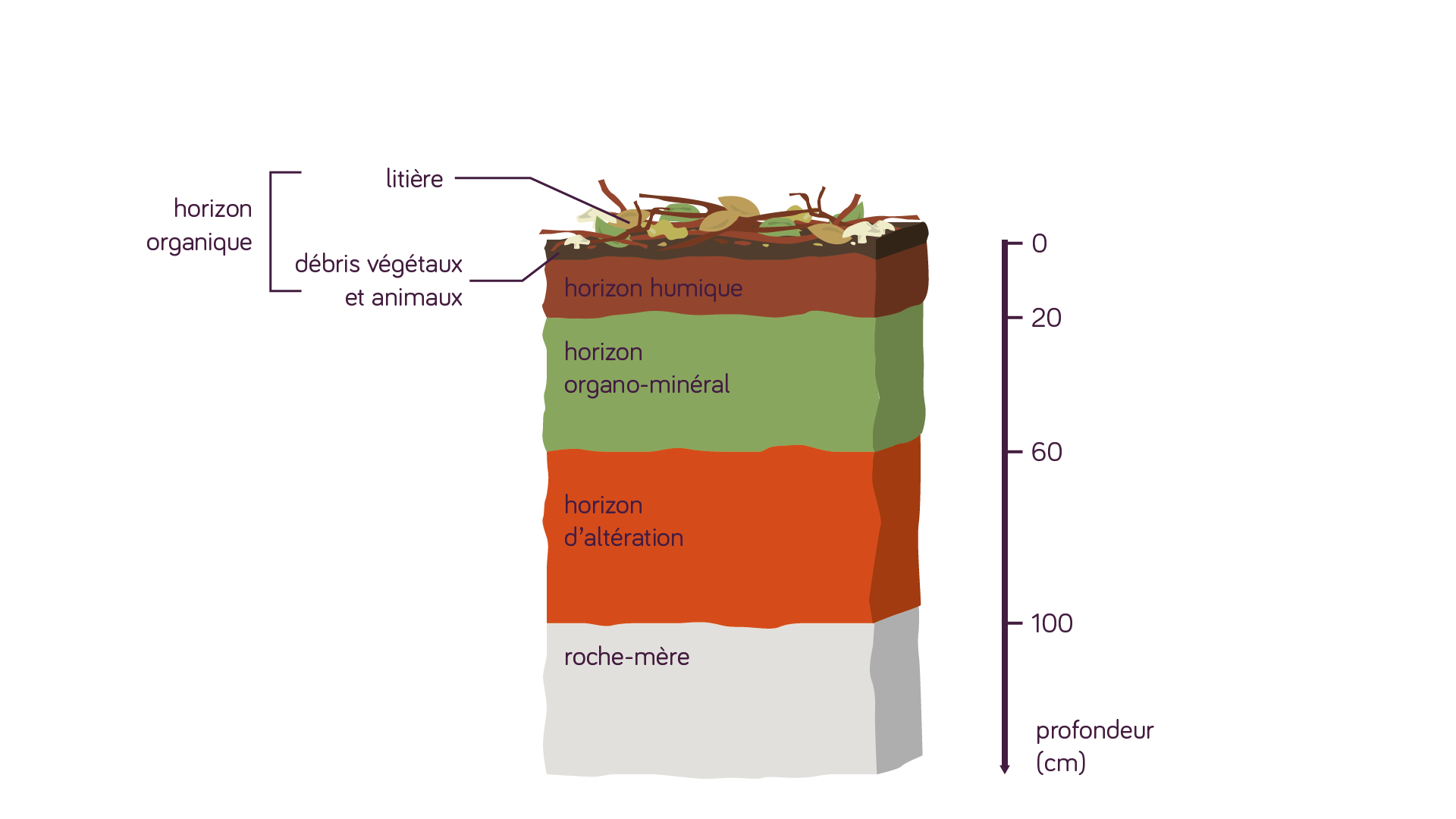 Quels Sont Les Diff rents Types De Terres Agricoles BZLU