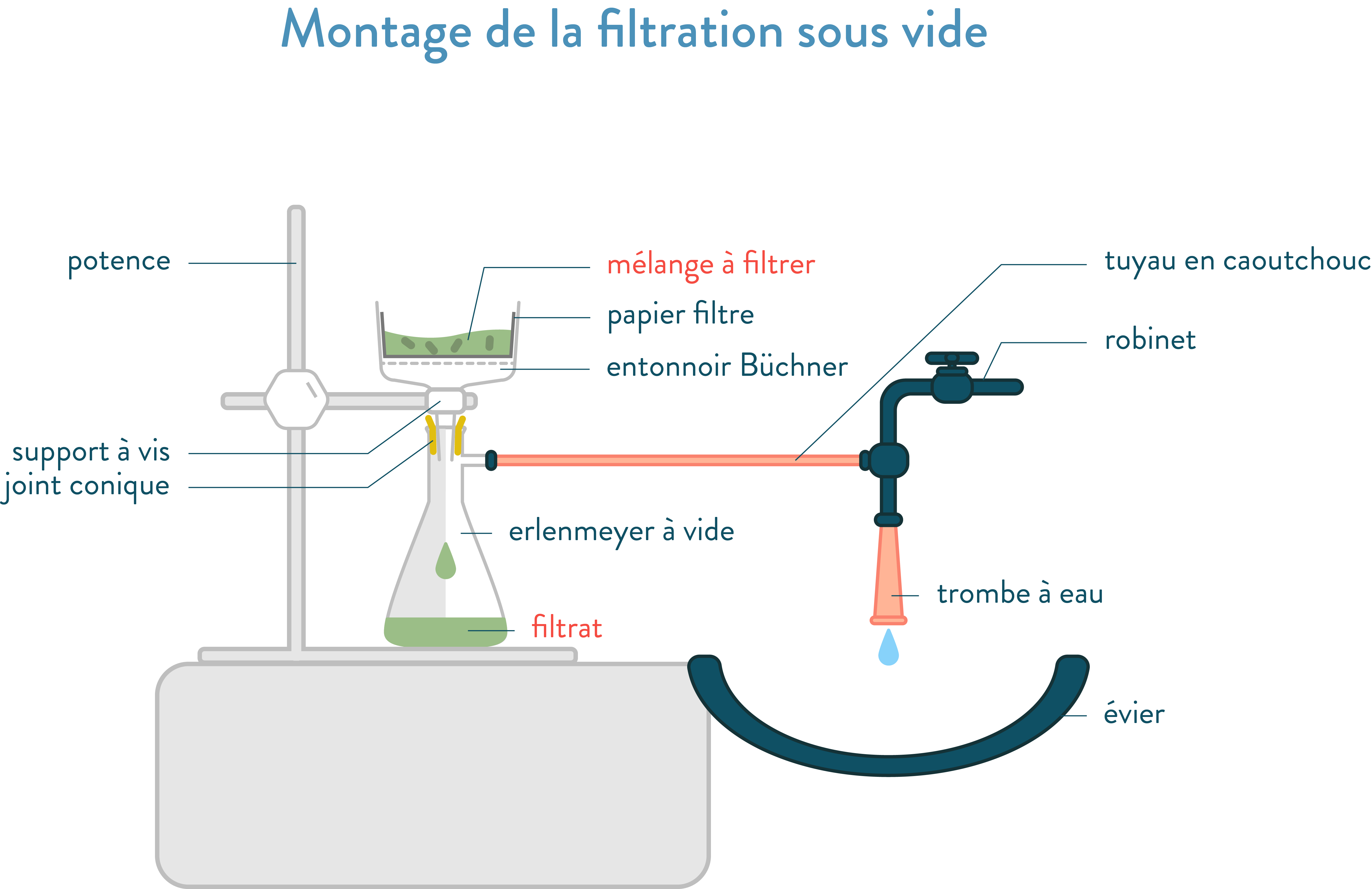 Extraction des espèces chimiques fiche de cours SchoolMouv