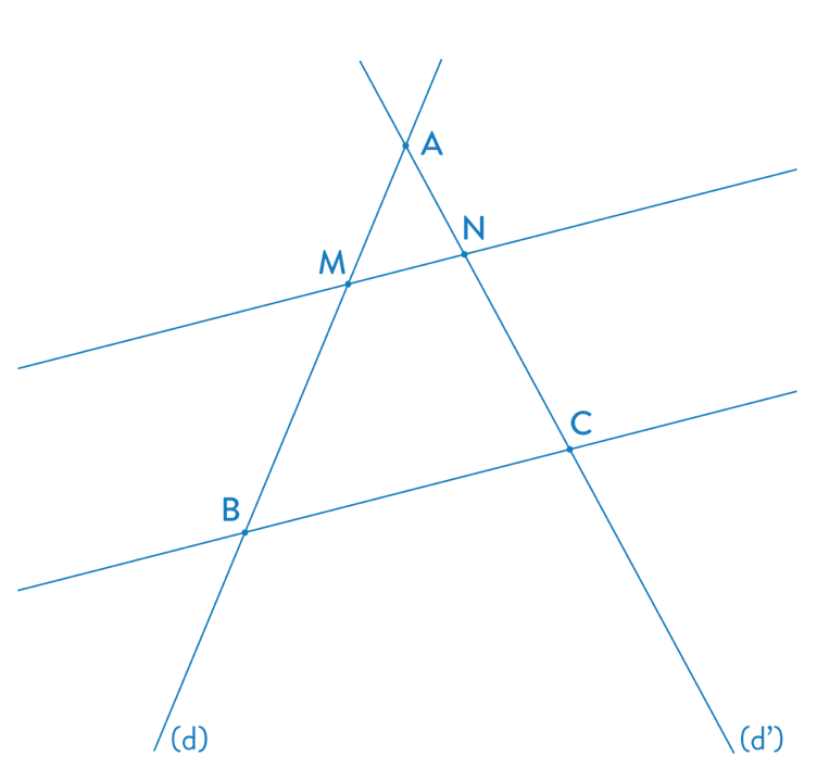 Triangles semblables exercice mathématiques troisième