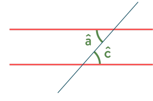 Caractériser le parallélisme avec les angles exercice mathématiques cinquième