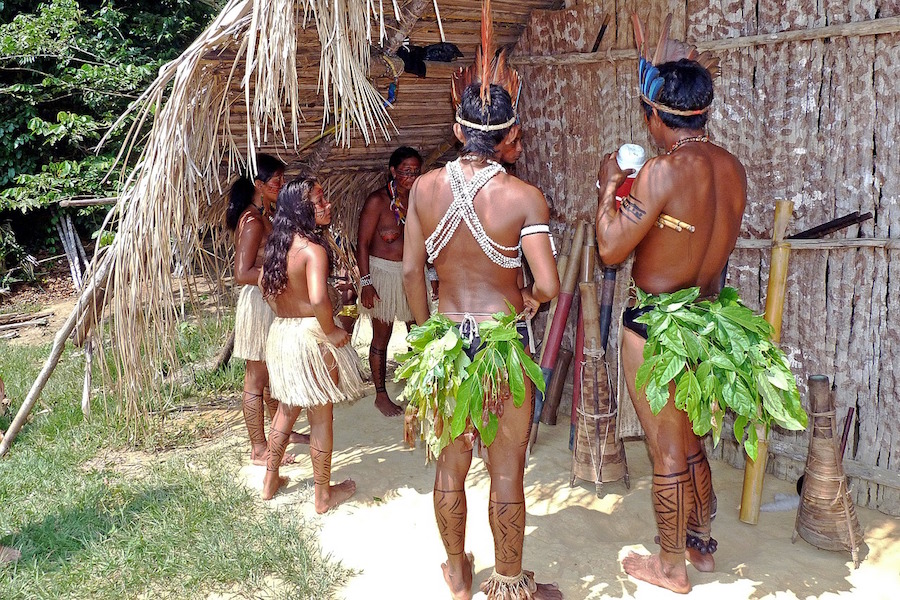 6e-geo-communauté indienne de la forêt amazonienne