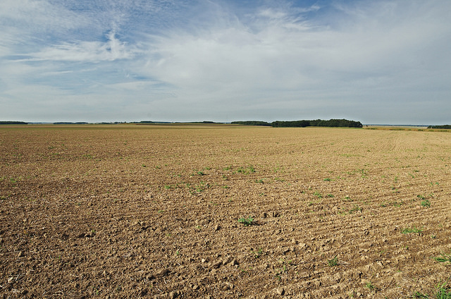 Paysage d’<em>openfields</em> de la plaine de la Beauce ©Daniel Jolivet-6e-géographie