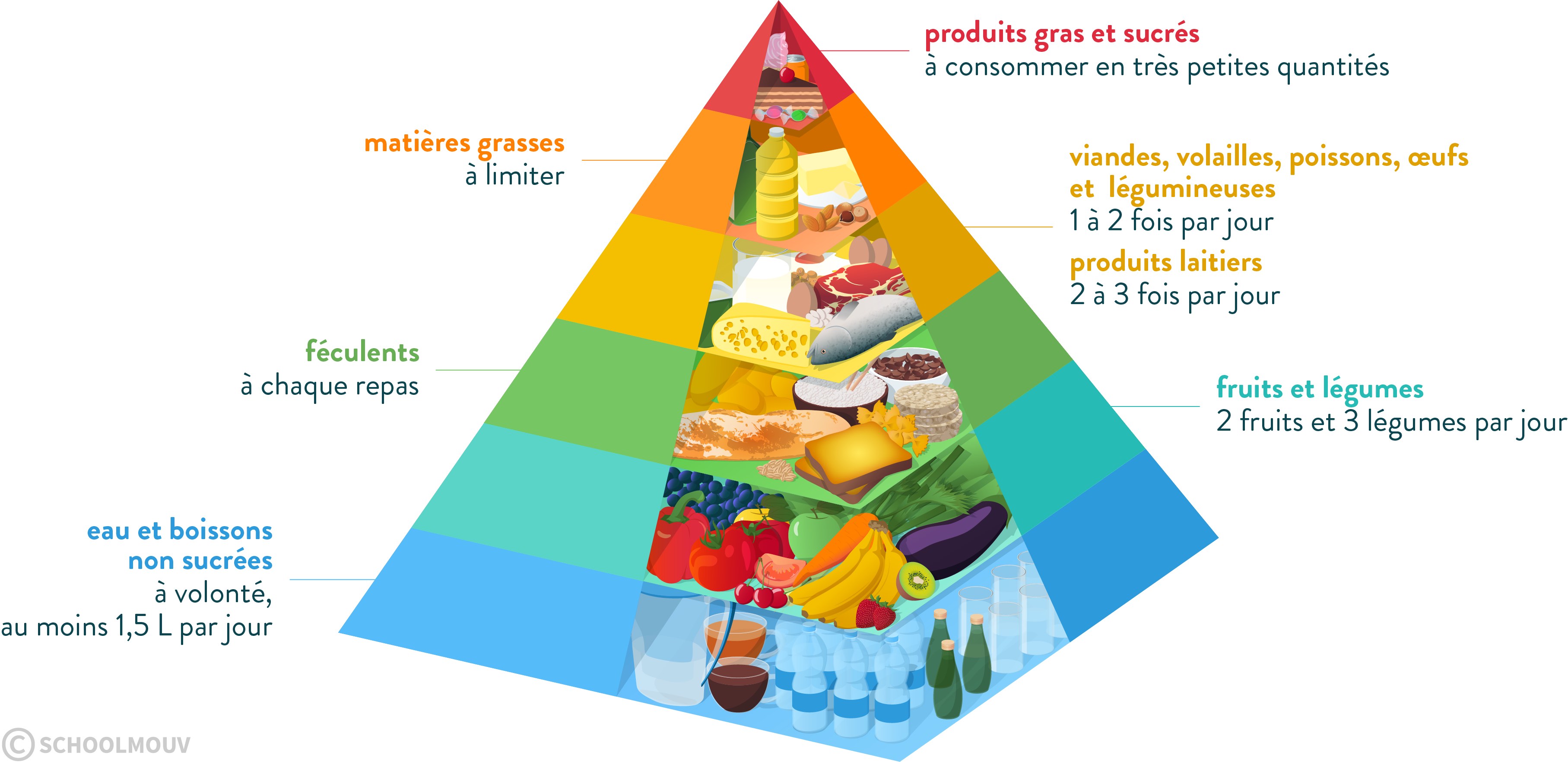 pyramide alimentaire