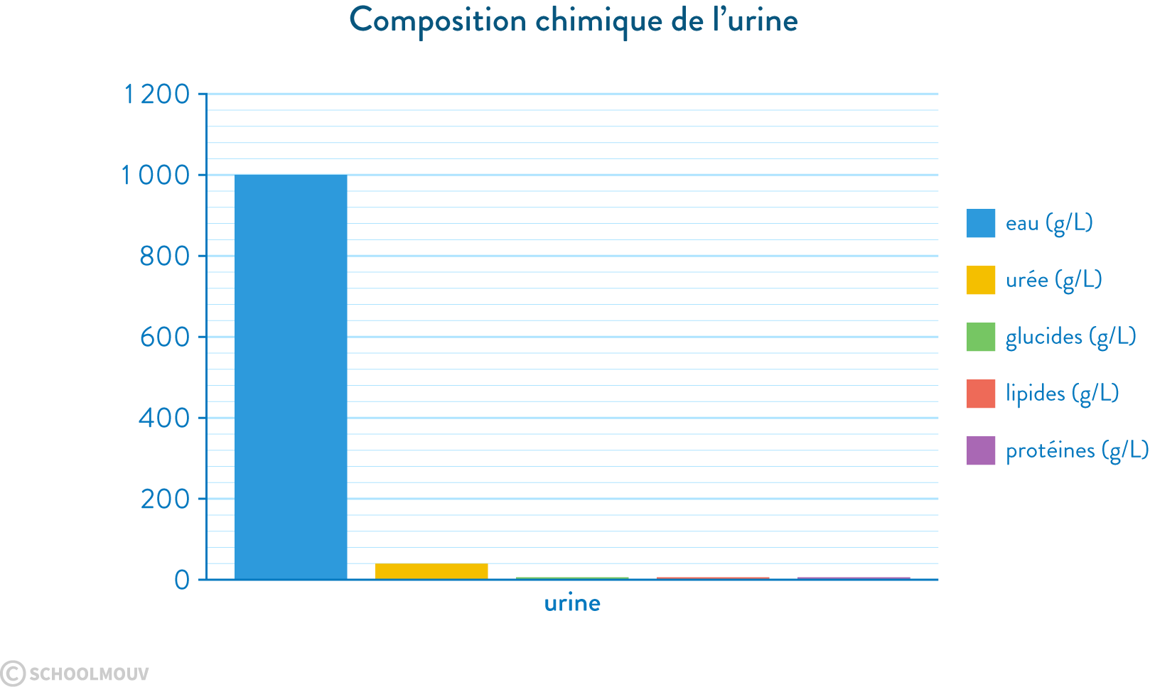 Composition chimique de l’urine