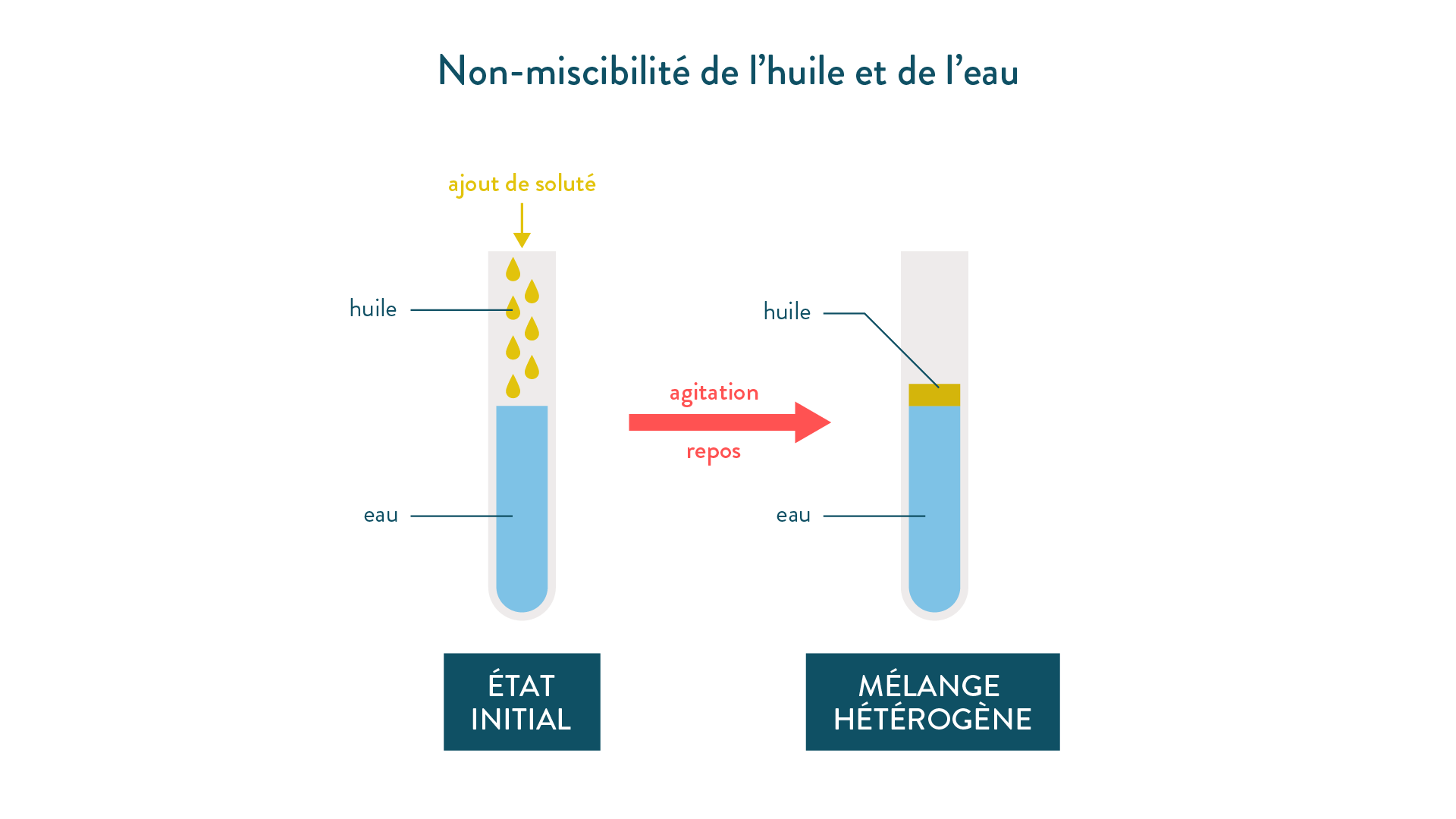 Non-miscibilité de l’huile et de l’eau