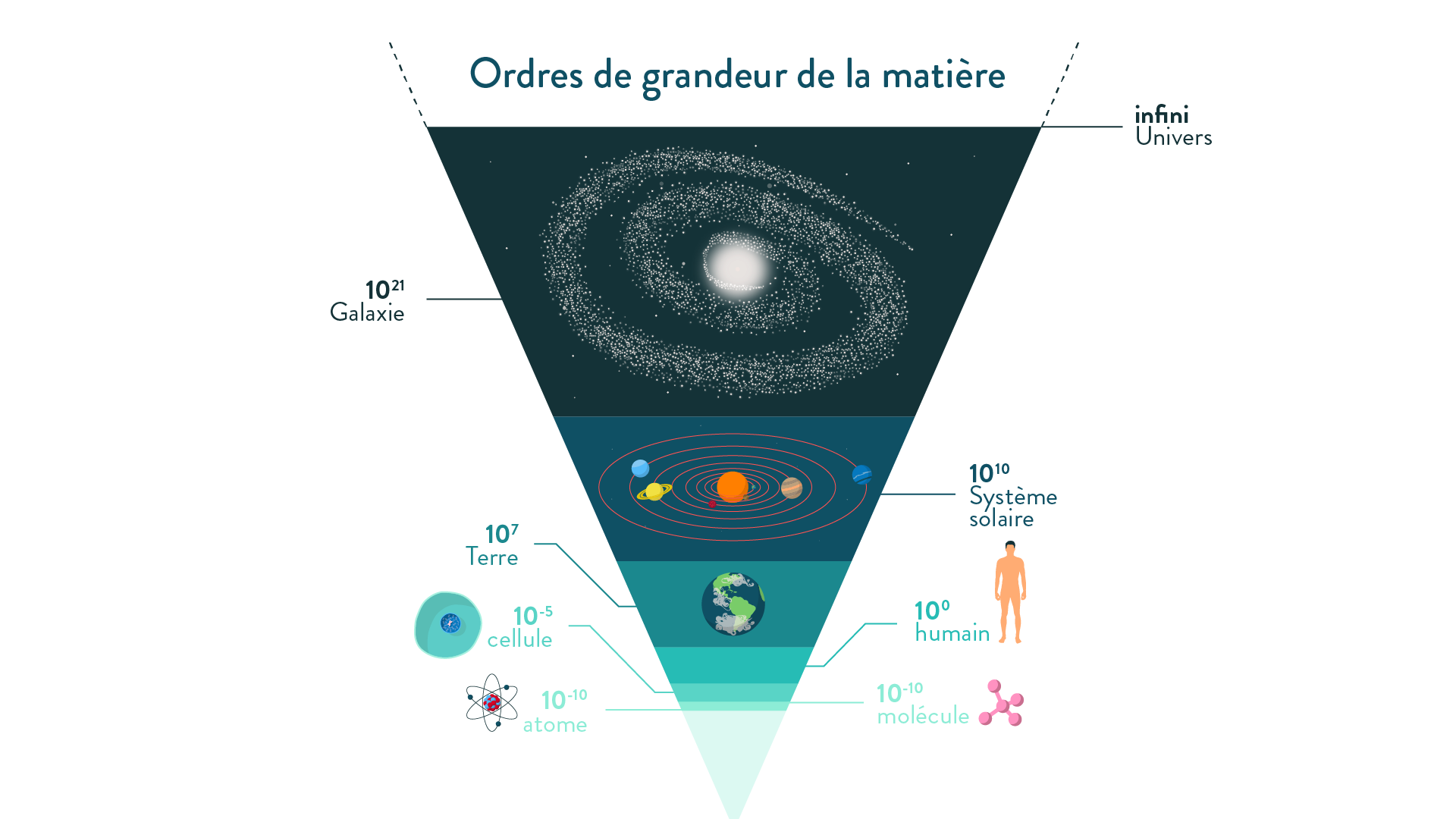 Organisation De La Mati re Organigramme De La Mati re EVMR