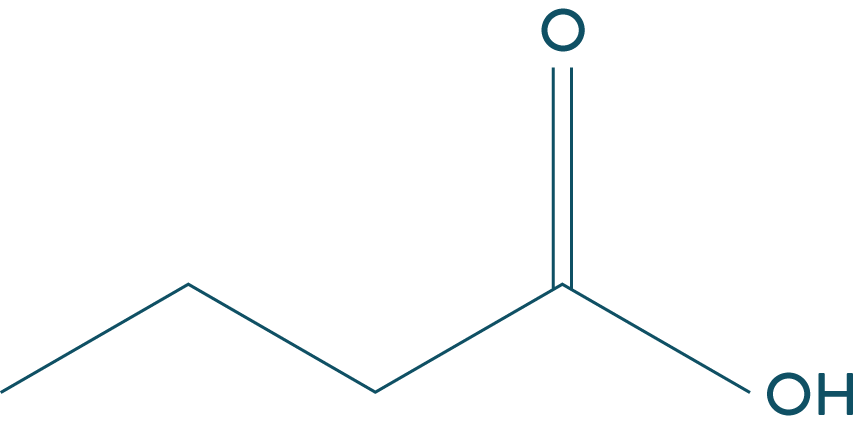 Représentation molécule-physique-chimie-terminale-s-schoolmouv