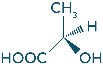 Représentation molécule-physique-chimie-terminale-s-schoolmouv