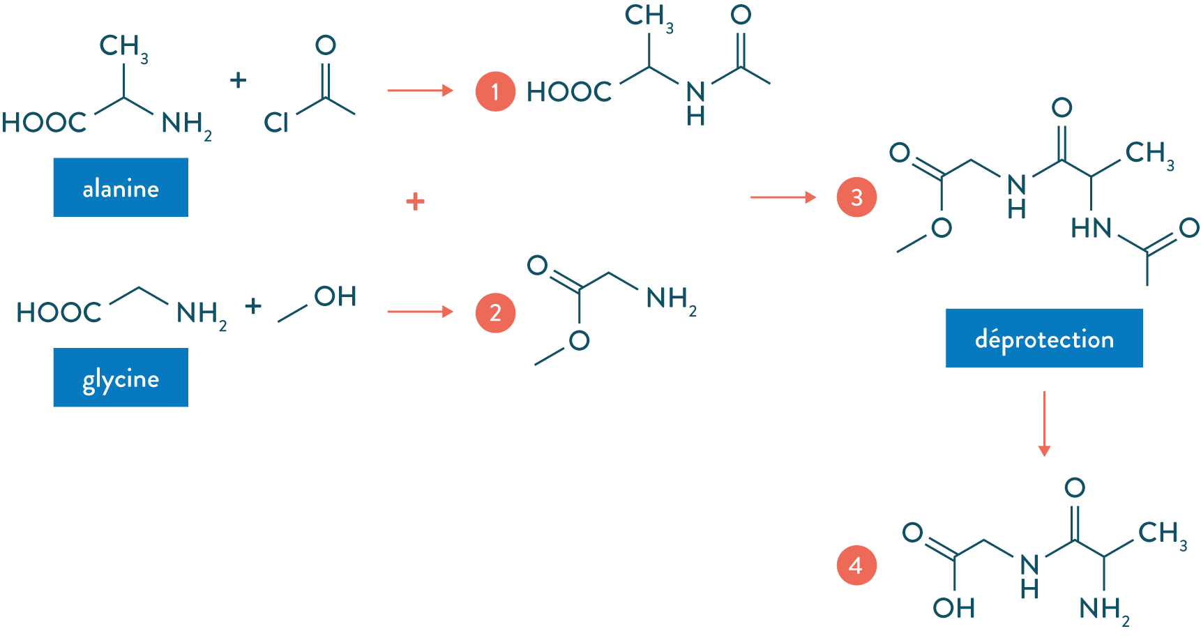 synhtèse organique-physique-chimie-terminale-s-schoolmouv