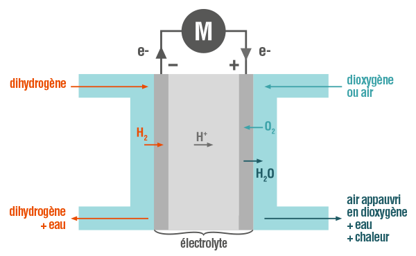 pile à combustible-physique-chimie-terminale-s